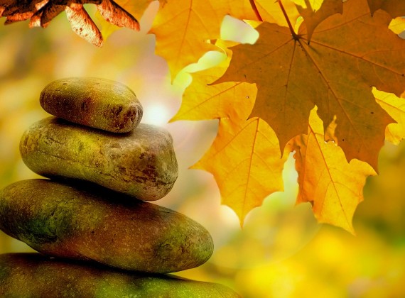 CORSO DI MEDITAZIONE E YOGA (online) – 2° livello